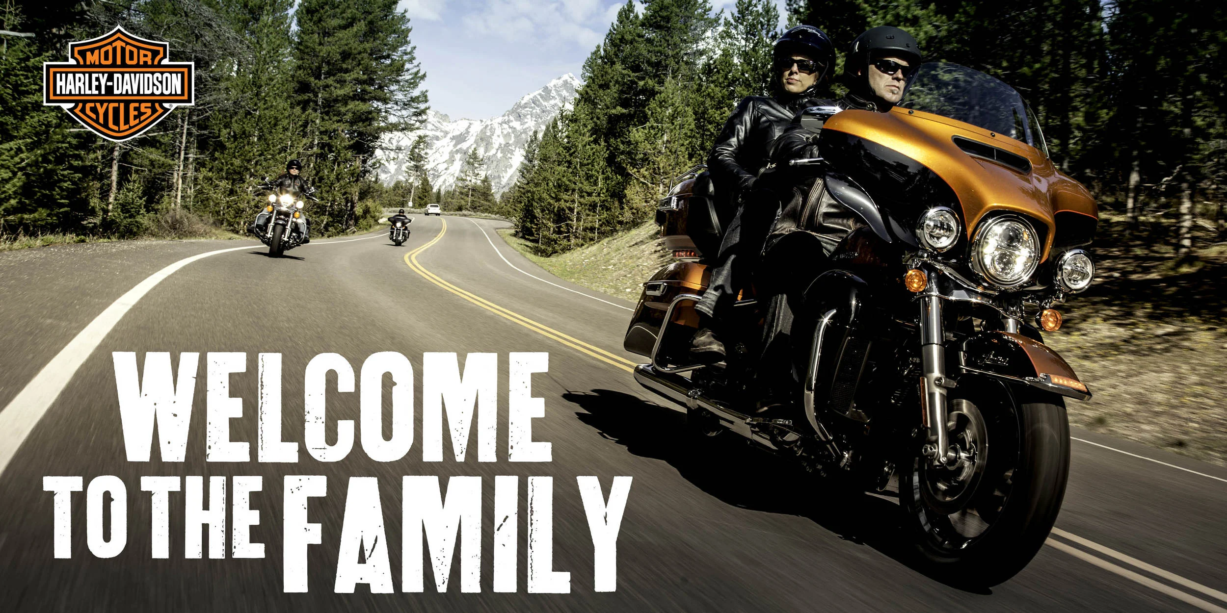 Harley-Davidson — banner