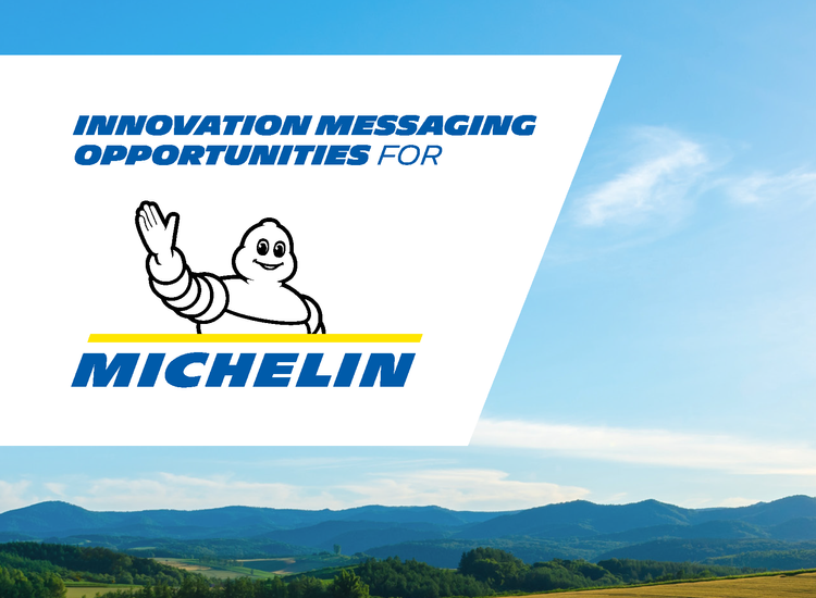 Michelin Infographic — white paper